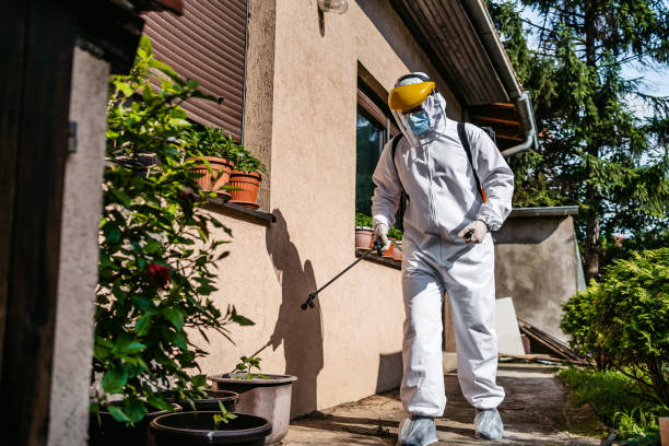 Best Pest Removal Services  in Country Club Hls, IL