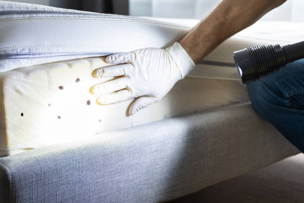 Best Bed Bug Extermination  in Country Club Hls, IL