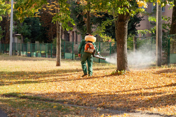 Best Pest Prevention Services  in Country Club Hls, IL