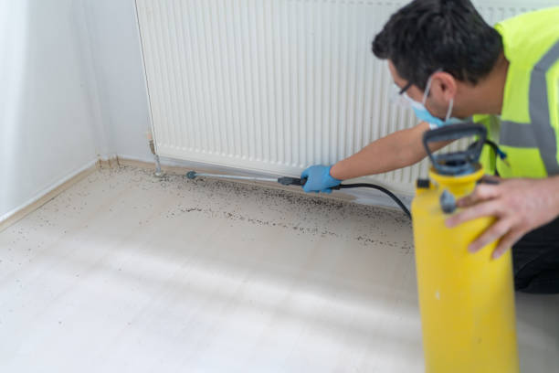 Best Best Pest Control Companies  in Country Club Hls, IL