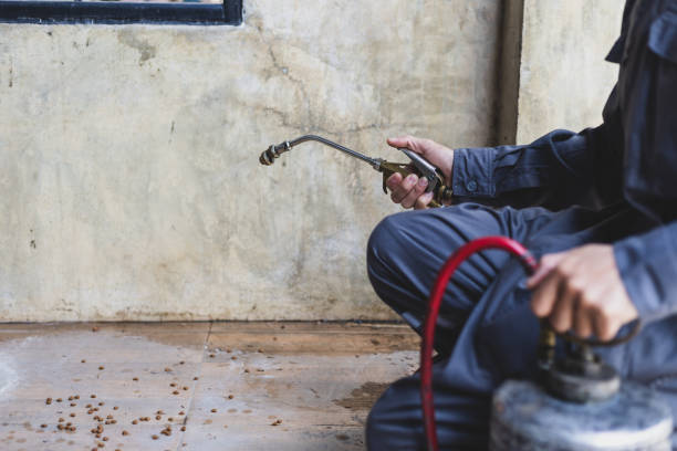 Best Pest Removal Services  in Country Club Hls, IL